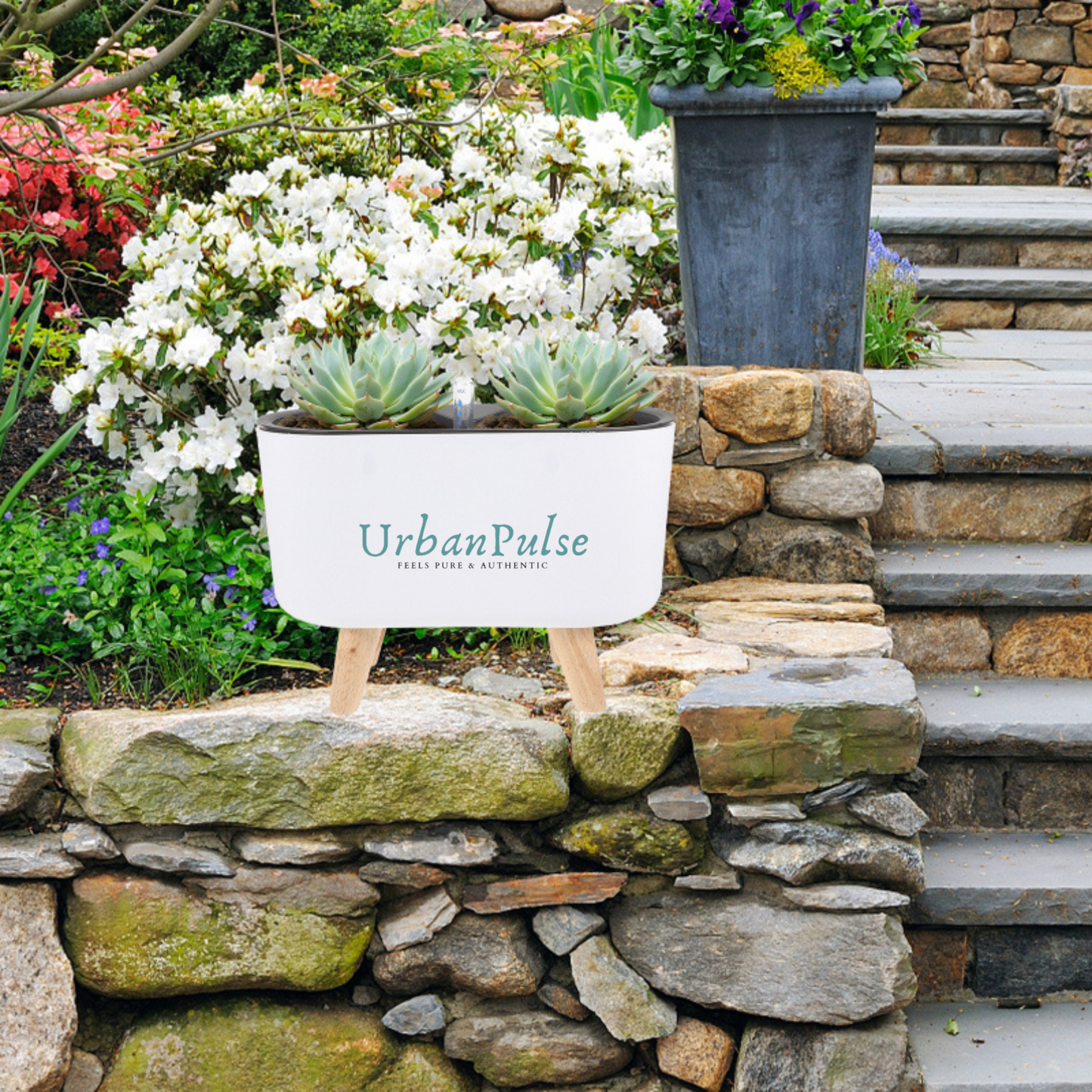 🌿 GreenEase™