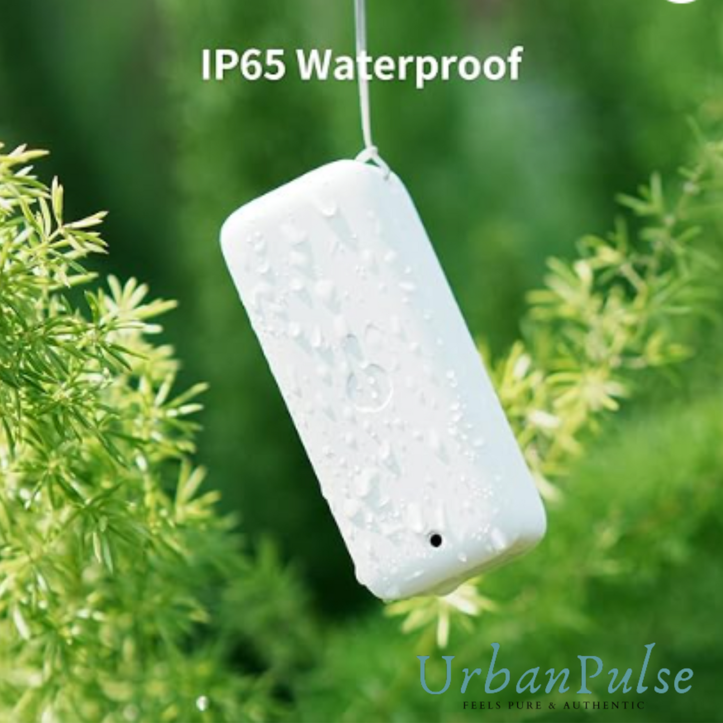 SwitchBot IP65 Smart Hygrometer Thermometer